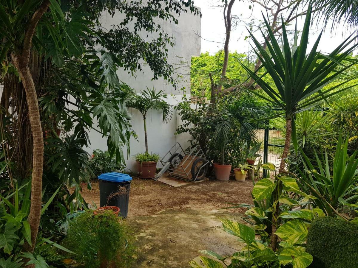 Gunther & Gladys Apartamento Isla Mujeres