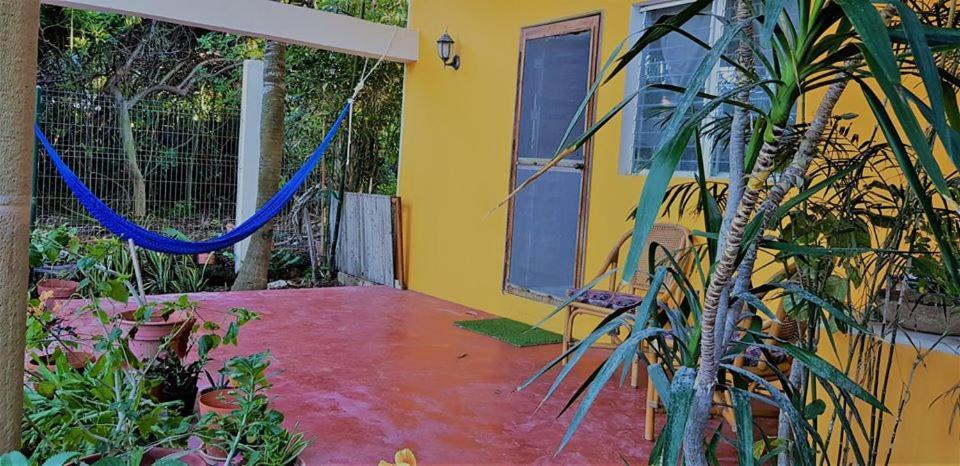 Apartamento Gunther & Gladys Isla Mujeres